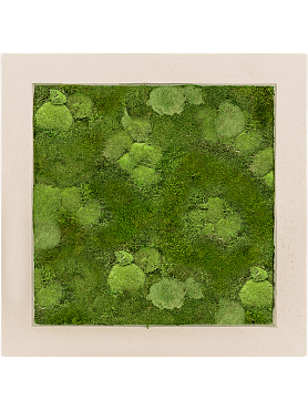 Картина из мха polystone natural 30% ball- and 70% flat moss