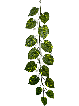 Pothos garland (15 lvs.)