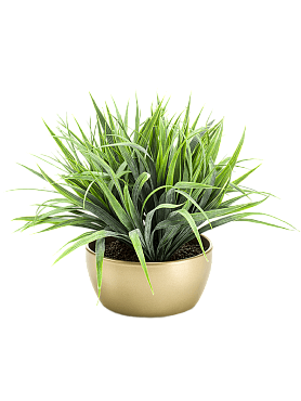 Grass bush in pearlgold bowl