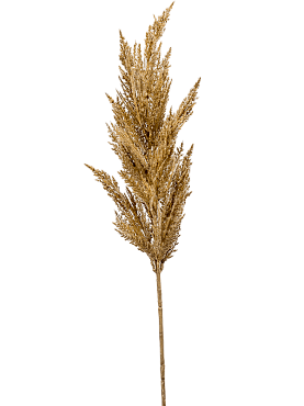 Grass pampas branch beige