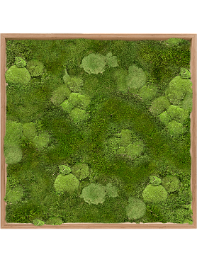 Картина из мха bamboo 30% ball- and 70% flat moss