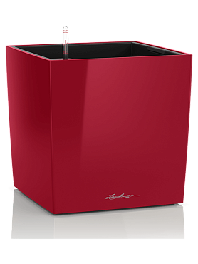 Lechuza cube premium all inclusive set scarlet red high-gloss