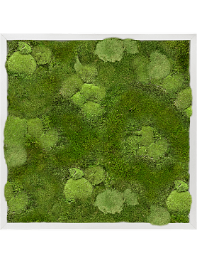 Картина из мха aluminum 30% ball- and 70% flat moss