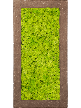 Картина из мха polystone rock 100% reindeer moss (spring green)