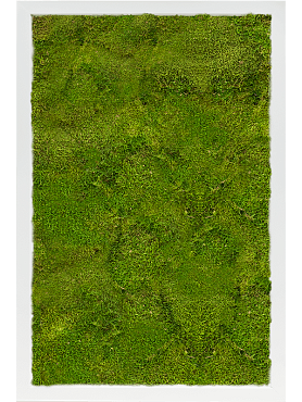 Картина из мха mdf ral 9010 satin gloss 100% flat moss