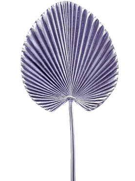 Palm purple