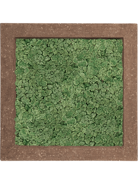 Картина из мха polystone rock 100% reindeer moss (moss green)
