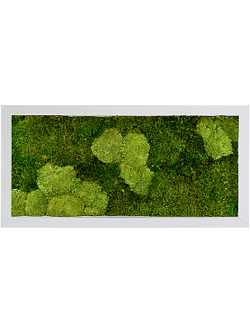 Картина из мха superline u 30% ball- and 70% flat moss