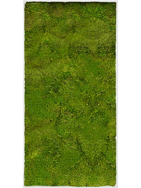Картина из мха stiel l ral 9010 matt 100% flat moss