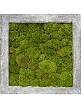 Картина из мха polystone raw grey 100% ball moss