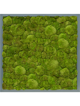 Картина из мха mdf ral 7016 satin gloss 100% ball moss