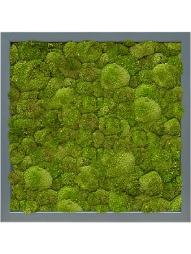 Картина из мха mdf ral 7016 satin gloss 100% ball moss
