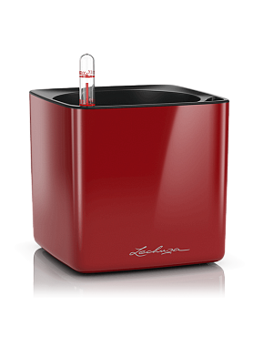 Lechuza cube glossy 14 all inclusive set scarlet red high-gloss