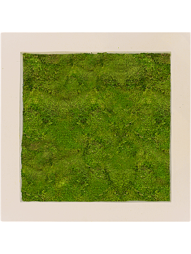 Картина из мха polystone natural 100% flat moss