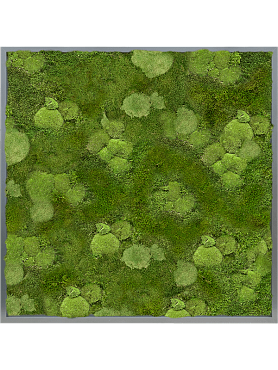 Картина из мха mdf ral 7016 satin gloss 30% ball- and 70% flat moss