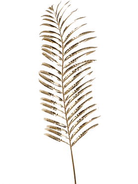 Areca leaf gold
