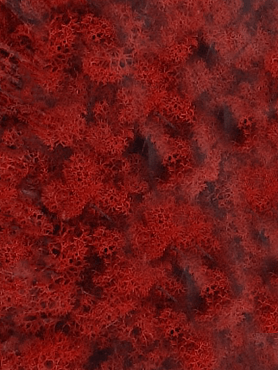 Стабилизированный мох Reindeer moss red (6 windowкоробка = примерно. 0,45 m²)