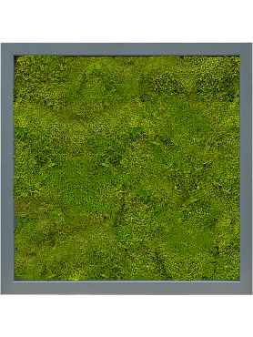 Картина из мха mdf ral 7016 satin gloss 100% flat moss