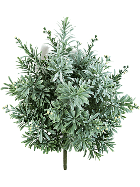Crossostephium bush