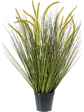 Grass cattail bush (15 fl.)