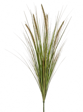 Grass pennisetum tuft (5 fl.)