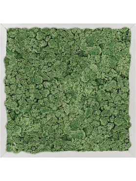 Картина из мха aluminum 100% reindeer moss (moss green)