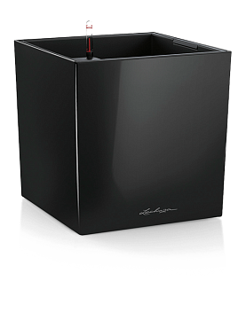 Lechuza cube premium all inclusive set black high-gloss