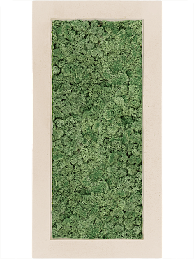 Картина из мха polystone natural 100% reindeer moss (moss green)