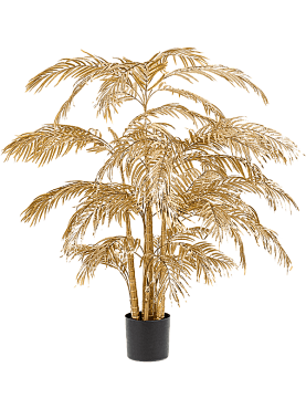 Areca palm bush gold (40 lvs.)